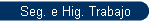 Seg. e Hig. Trabajo