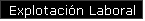 Explotacin Laboral