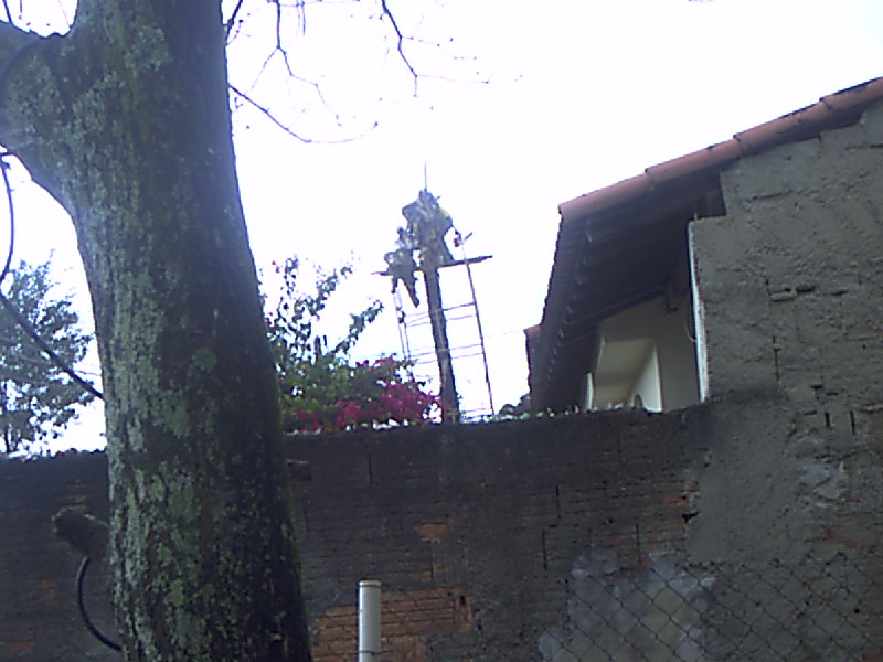 IMAG0129.JPG