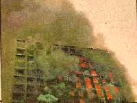 joelma24.gif