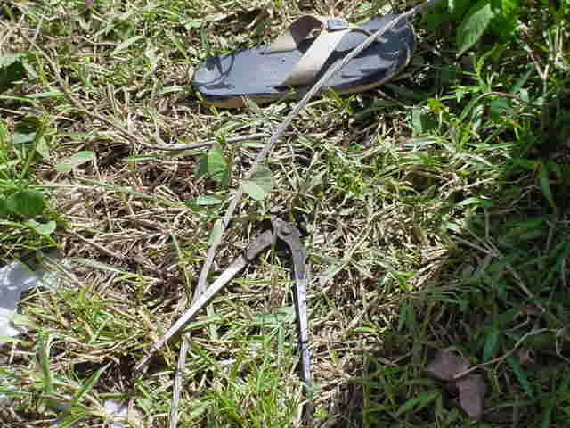 mvc014syp5.jpg
