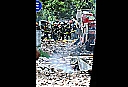 Nombre del archivo=0205_incendio_deposito_barracas_dyn_g5_1853027552.jpg
Tamaño del archivo=42KiB
Dimensiones=728x500
Fecha añadida=Diciembre 29, 2018 0205_incendio_deposito_barracas_dyn_g5_1853027552.jpg