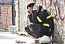 Nombre del archivo=0205_incendio_deposito_barracas_telam_g22_1853027552.jpg
Tamaño del archivo=55KiB
Dimensiones=728x500
Fecha añadida=Diciembre 29, 2018 0205_incendio_deposito_barracas_telam_g22_1853027552.jpg