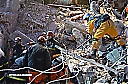 1074201_10151545986576922_1825671527_o.jpg