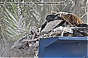 Nombre del archivo=1119905_10201661454560296_1273404062_o.jpg
Tamaño del archivo=182KiB
Dimensiones=2048x1360
Fecha añadida=Diciembre 30, 2018 1119905_10201661454560296_1273404062_o.jpg