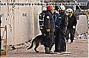 Nombre del archivo=1150848_322798471189303_1052235991_n.jpg
Tamaño del archivo=88KiB
Dimensiones=960x637
Fecha añadida=Diciembre 30, 2018 1150848_322798471189303_1052235991_n.jpg