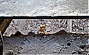 11agosto_281629.jpg