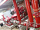Nombre del archivo=36743309_10216570830481600_2107880471823122432_n.jpg
Tamaño del archivo=71KiB
Dimensiones=960x720
Fecha añadida=Julio 07, 2022 36743309_10216570830481600_2107880471823122432_n.jpg