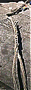 Nombre del archivo=FB_IMG_16565479373442296.jpg
Tamaño del archivo=421KiB
Dimensiones=504x1404
Fecha añadida=Julio 02, 2022 FB_IMG_16565479373442296.jpg