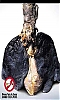Nombre del archivo=Imagem2.jpg
Tamaño del archivo=18KiB
Dimensiones=240x398
Fecha añadida=Junio 04, 2012 Imagem2.jpg