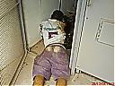Nombre del archivo=Ladrao_de_Fio_Alta_Tensao_004~0.jpg
Tamaño del archivo=79KiB
Dimensiones=960x720
Fecha añadida=Diciembre 29, 2018 Ladrao_de_Fio_Alta_Tensao_004~0.jpg