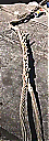 Nombre del archivo=image_b19b5235-990f-4229-b463-c62ce79eb91d20220701_193947.jpg
Tamaño del archivo=105KiB
Dimensiones=504x1404
Fecha añadida=Julio 04, 2022 image_b19b5235-990f-4229-b463-c62ce79eb91d20220701_193947.jpg