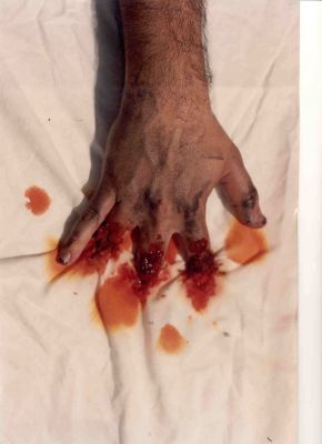 mano015.jpg